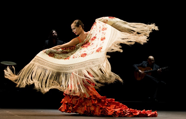 bailaora de flamenco